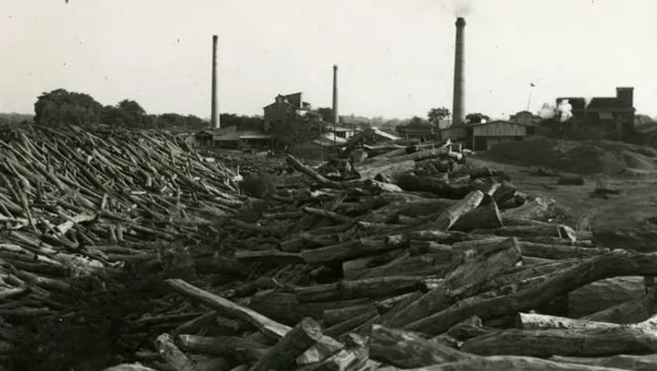 El oro rojo de Argentina, vaciado por capitales ingleses